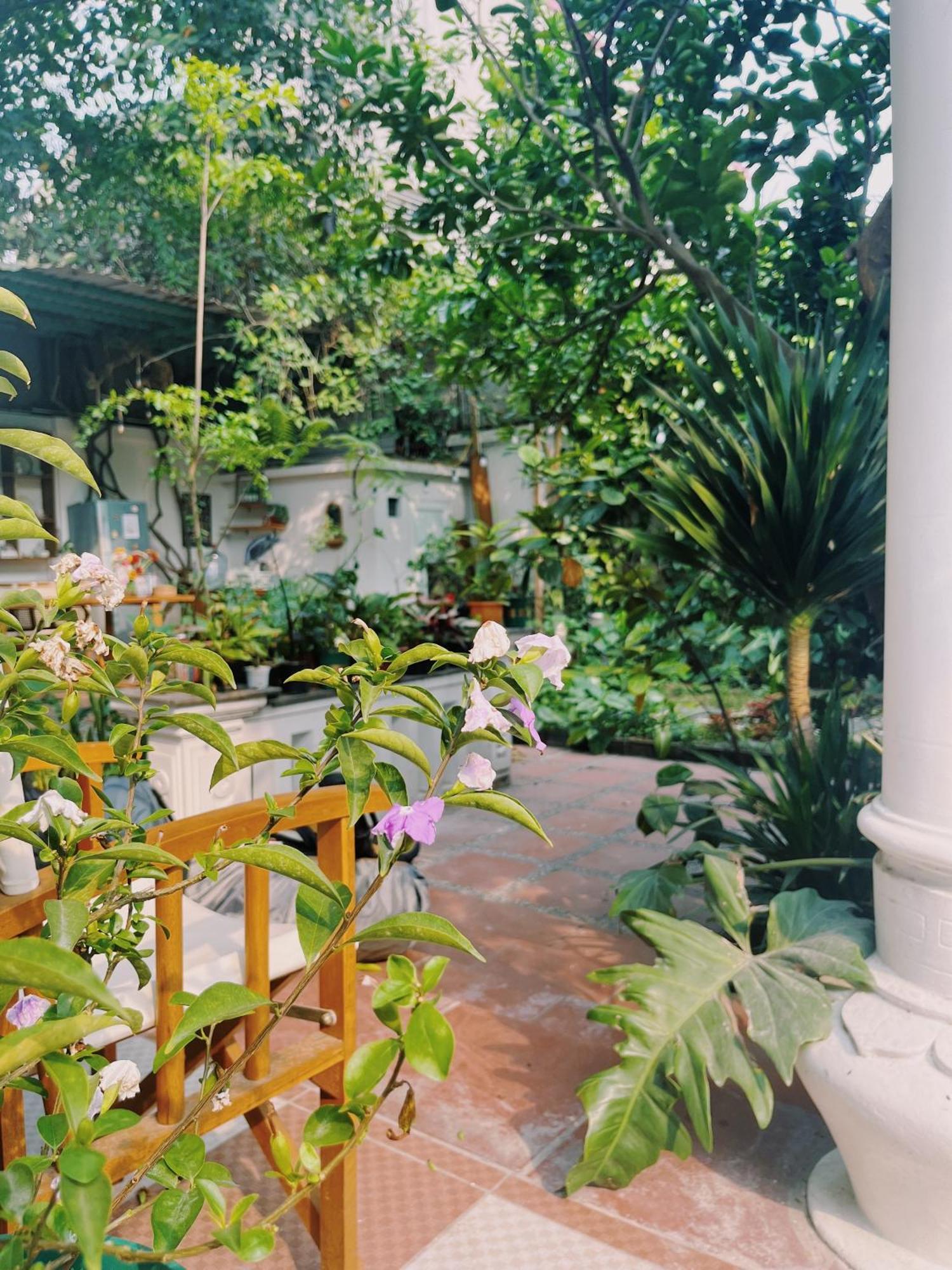 1.Home Hanoi Eksteriør billede